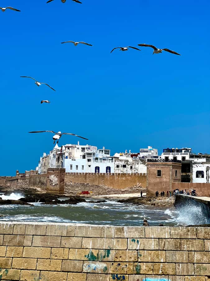 From Marrakech: Day Trip to Essaouira with Transfers - Why Essaouira makes a good escape from Marrakech