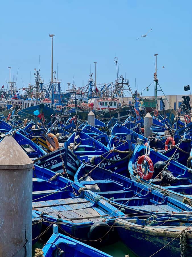 From Marrakech: Day Trip to Essaouira with Transfers - Coffee and a break near Chichaoua