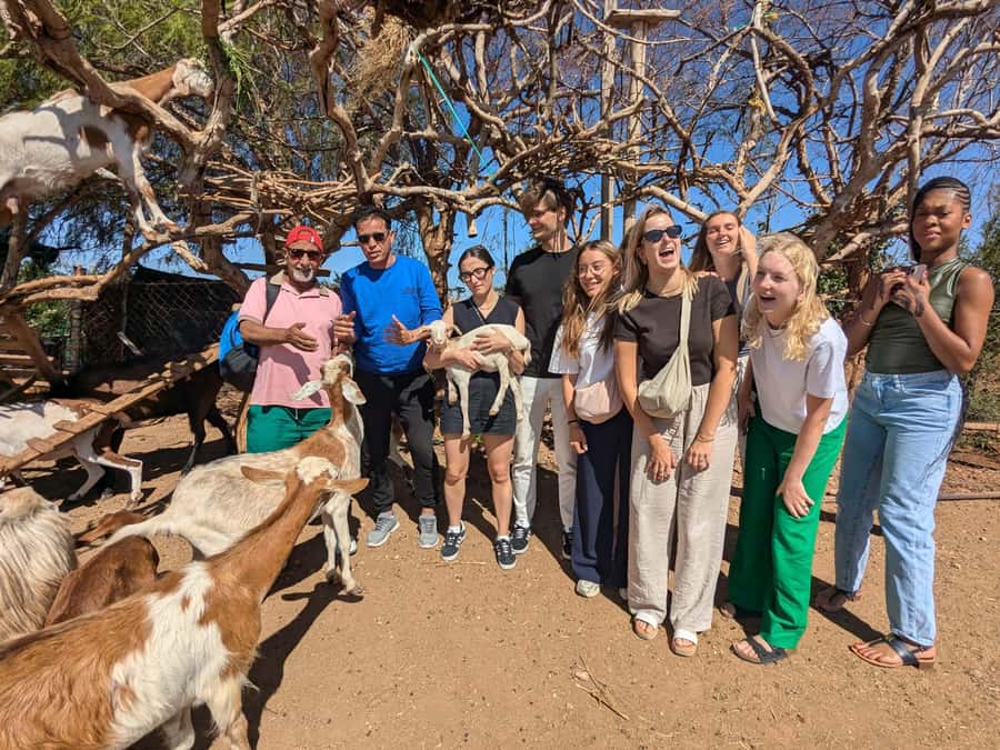 From Marrakech: Day Trip to Essaouira with Transfers - The argan oil cooperative near Ounagha