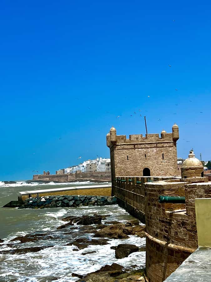 From Marrakech: Day Trip to Essaouira with Transfers - Four hours inside the medina, port, and ramparts