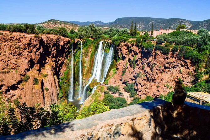 From Marrakech: Day Trip to Ouzoud Waterfalls Guided & Boat Ride - How much value do you get for $18.61?