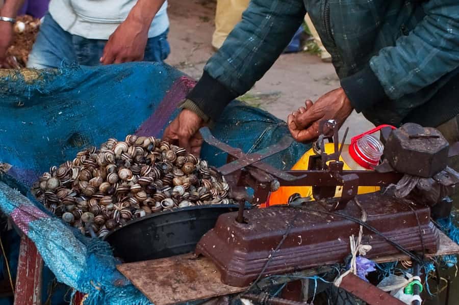 From Marrakech: Essaouira & Atlantic Coast Full-Day Trip - Six miles of beach and a cooler Atlantic afternoon