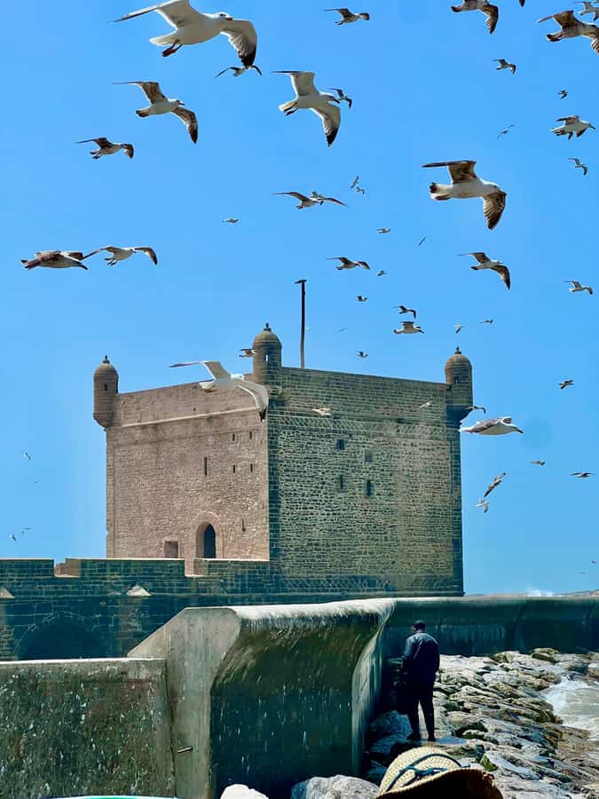 From Marrakech: Essaouira Coastal City Day Trip - Food, shopping, and spending money