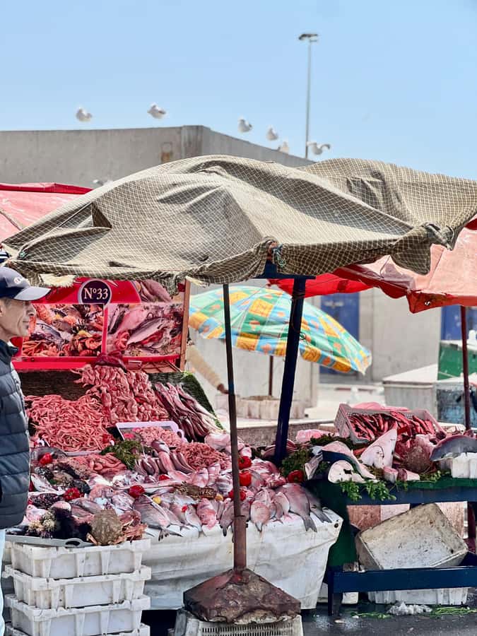 From Marrakech: Essaouira Coastal City Day Trip - Transport, timing, and the $10 price