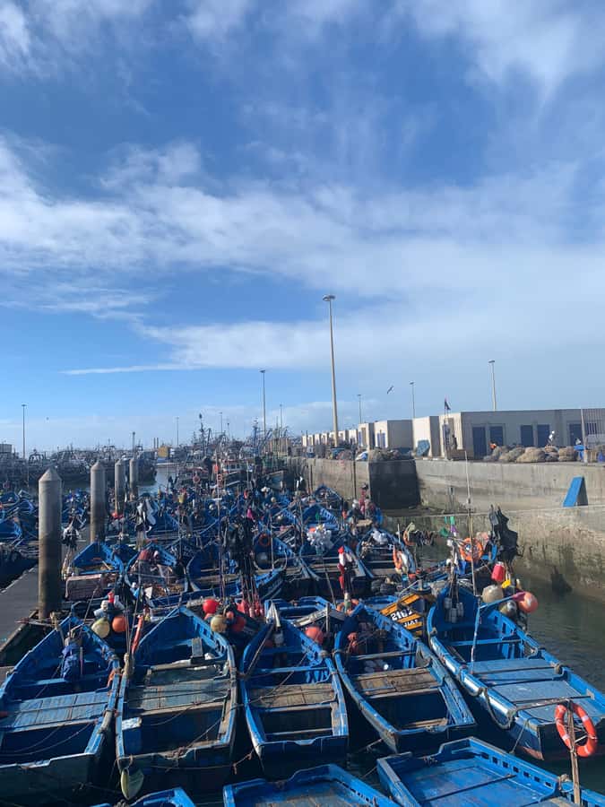 From Marrakech: Essaouira Coastal City Day Trip - Pickup near your Marrakech hotel or riad