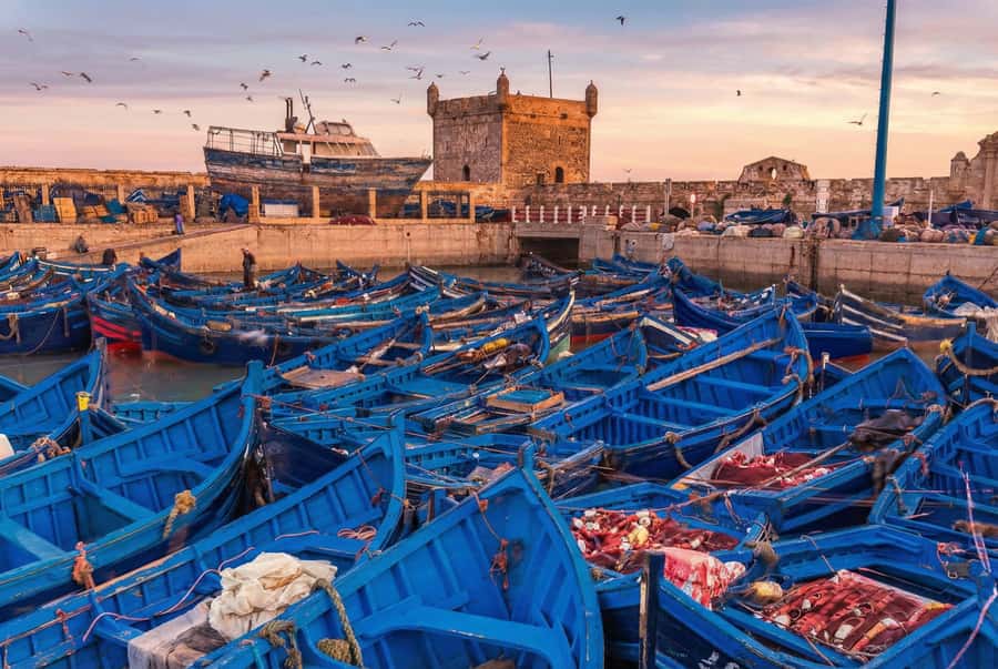 From Marrakech: Essaouira Coastal Escape with Lunch - Why Essaouira makes a fine break from Marrakech