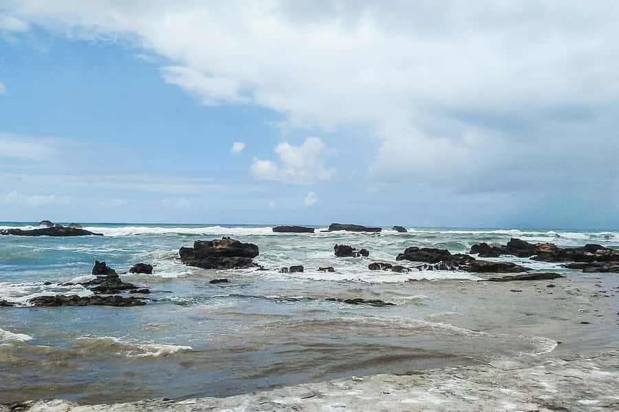 From Marrakech: Essaouira Day Tour with Optional Activities - Is $21 a good deal?