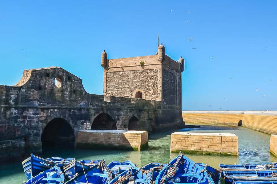 From Marrakech: Essaouira Day Tour with Optional Activities - Fresh fish, seafood, and lunch choices