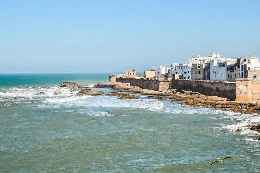 From Marrakech: Essaouira Day Tour with Optional Activities - How much help will you get from the driver?