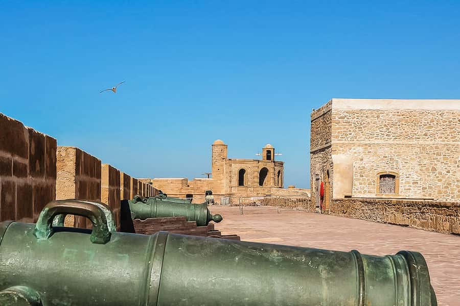 From Marrakech: Essaouira Day Tour with Optional Activities - The return drive and drop-off reality
