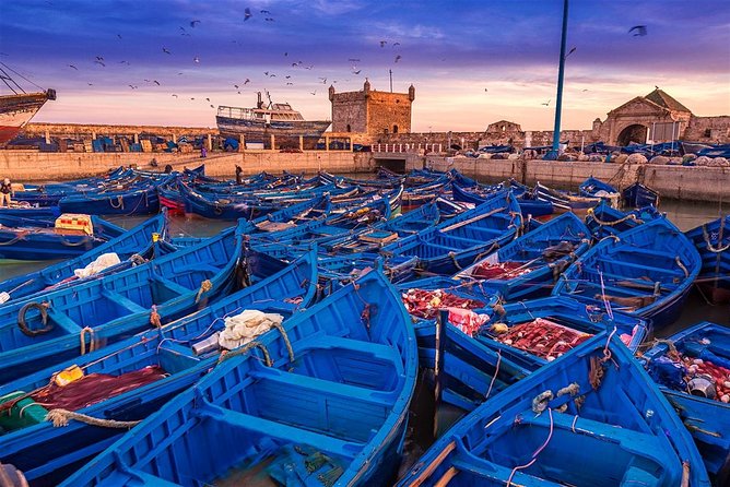 From Marrakech: Essaouira Day Trip - Three hours through Essaouira’s old streets