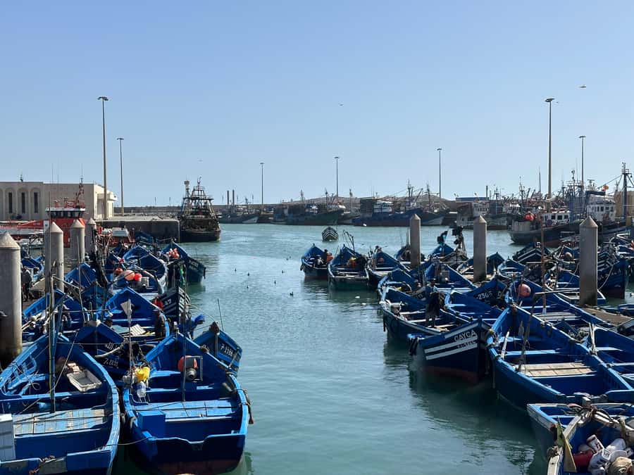 From Marrakech: Essaouira day Trip with camel, horse & quad - The Argan Oil Cooperative Stop