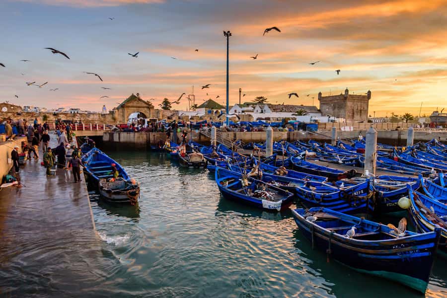 From Marrakech: Essaouira Day Trip with Hotel Pickup - Beach time and the city’s slower pace