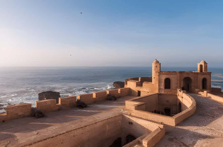 From Marrakech: Essaouira Full-Day Trip with Activities - The argan oil cooperative adds local context