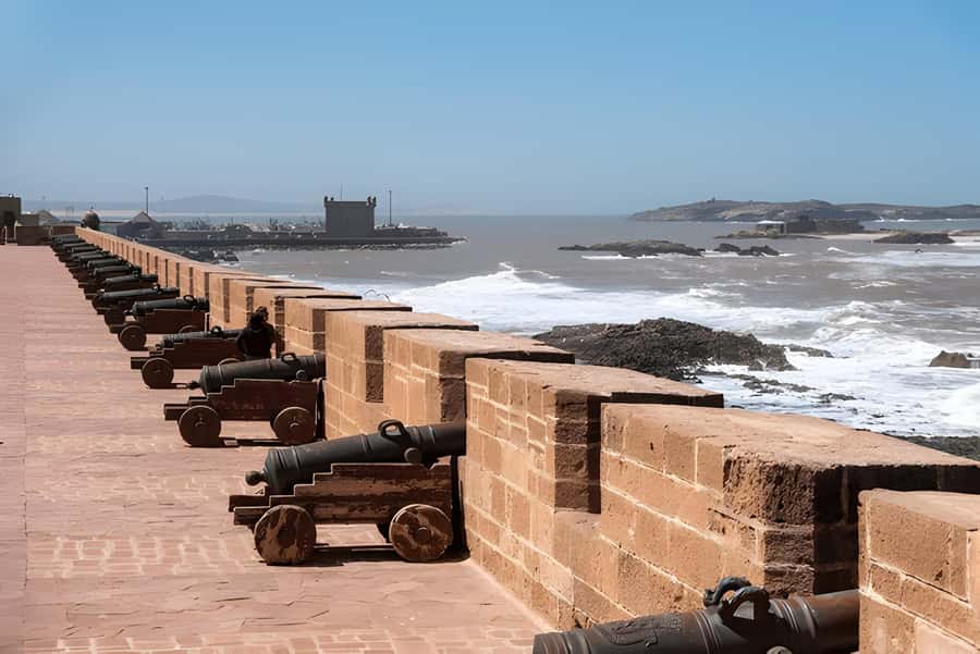 From Marrakech: Essaouira Full-Day Trip with Activities - The port, fishing boats, and seafood market