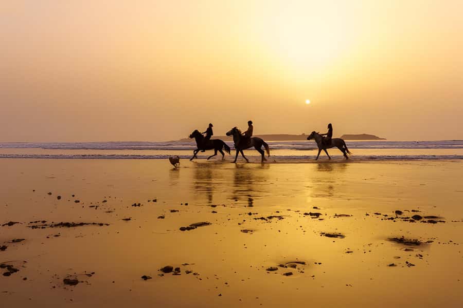 From Marrakech: Essaouira Full-Day Trip with Activities - The return ride and what the price really buys