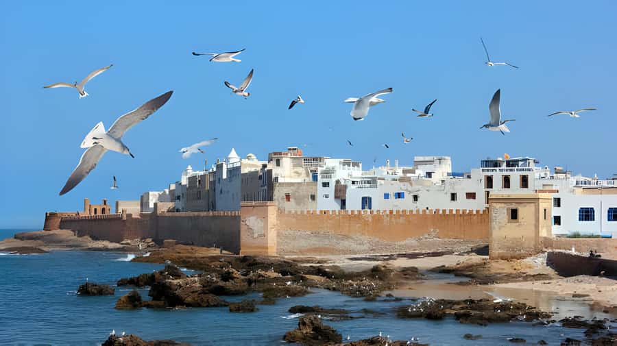From Marrakech: Essaouira Private Full-Day Trip - The long road from Marrakech to the Atlantic
