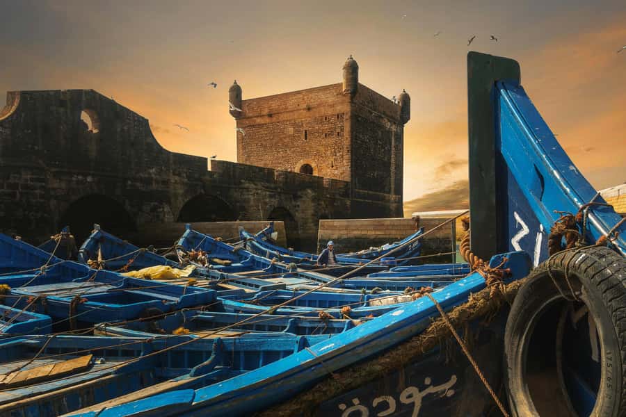 From Marrakech: Essaouira Private Full-Day Trip - The guide can make or break the visit