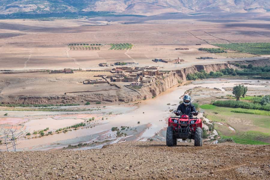 From Marrakech: Full-Day Agafay Desert Quad Adventure - The oasis: a green start in dry country