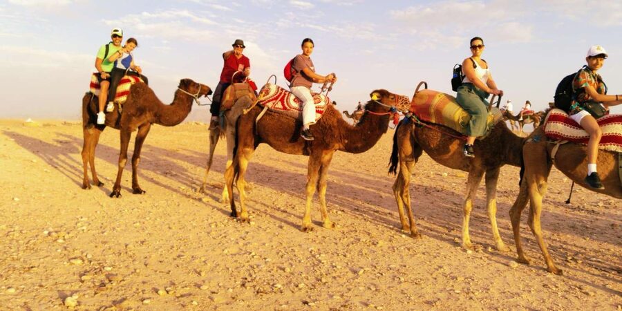 From Marrakech: Full-Day in the Atlas Mountains with Lunch - Is $18 really good value?