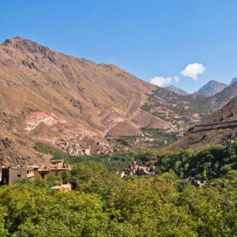 From Marrakech: Full-Day in the Atlas Mountains with Lunch - How hard is the walk?