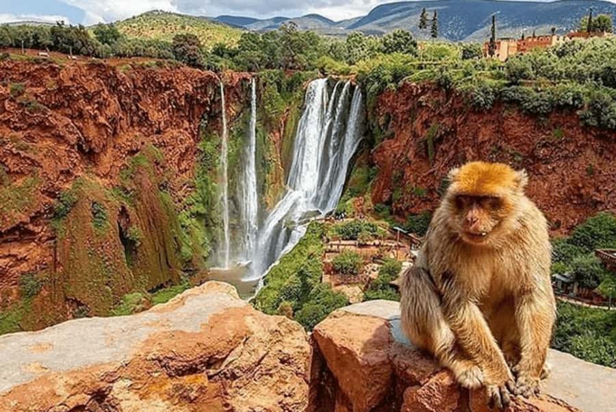 From Marrakech: Guided Ouzoud Waterfalls Tour with Boat Ride - Arriving above the Ouzoud Waterfalls