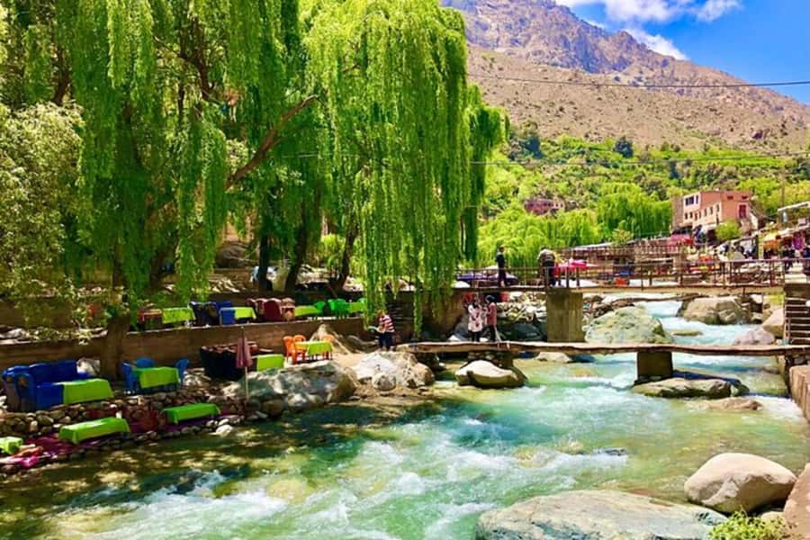 From Marrakech: Half-Day Tour to Atlas Mountains & Ourika - From Marrakech streets to the Ourika foothills