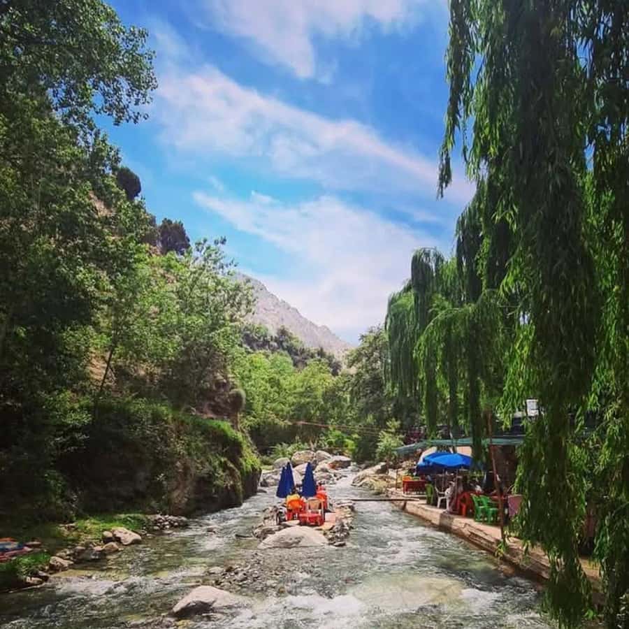 From Marrakech: Half-Day Tour to Atlas Mountains & Ourika - Riverside food, with one important price question