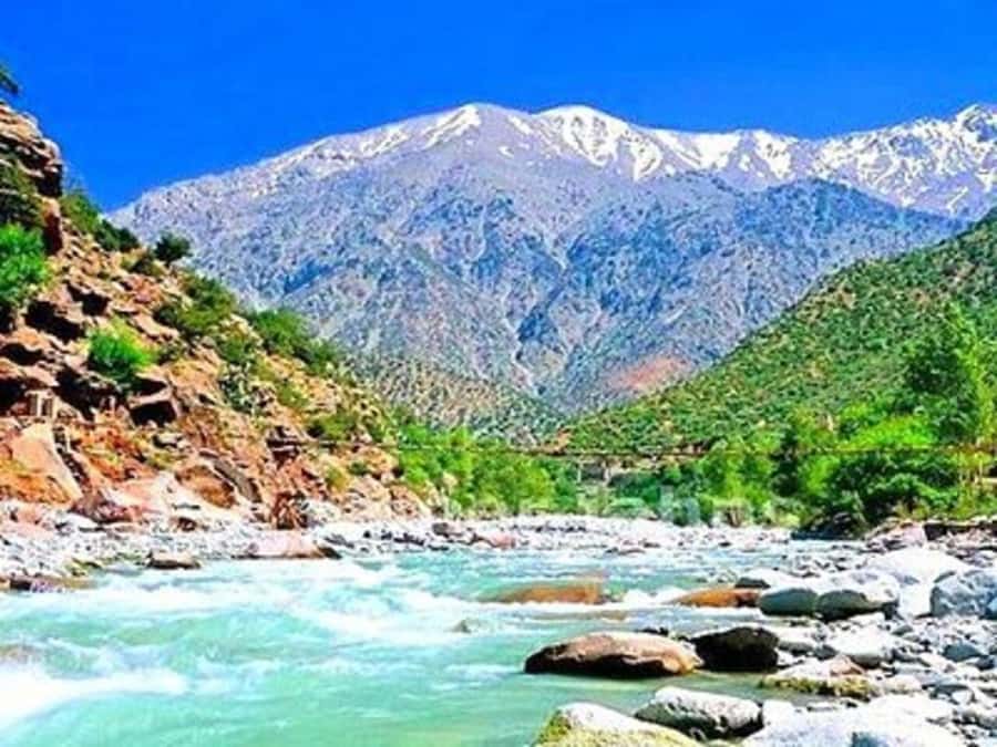 From Marrakech: Half-Day Tour to Atlas Mountains & Ourika - Six and a half hours, not a rushed morning