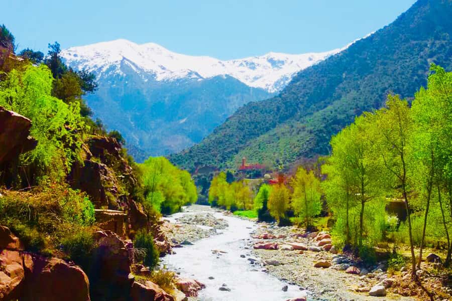 From Marrakech: Half-Day Tour to Atlas Mountains & Ourika - Breakfast with argan oil and local flavors