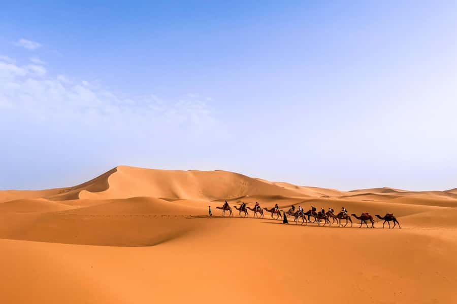From Marrakech: Merzouga 3-Day Desert Safari with Food - Why This Merzouga Safari Works So Well