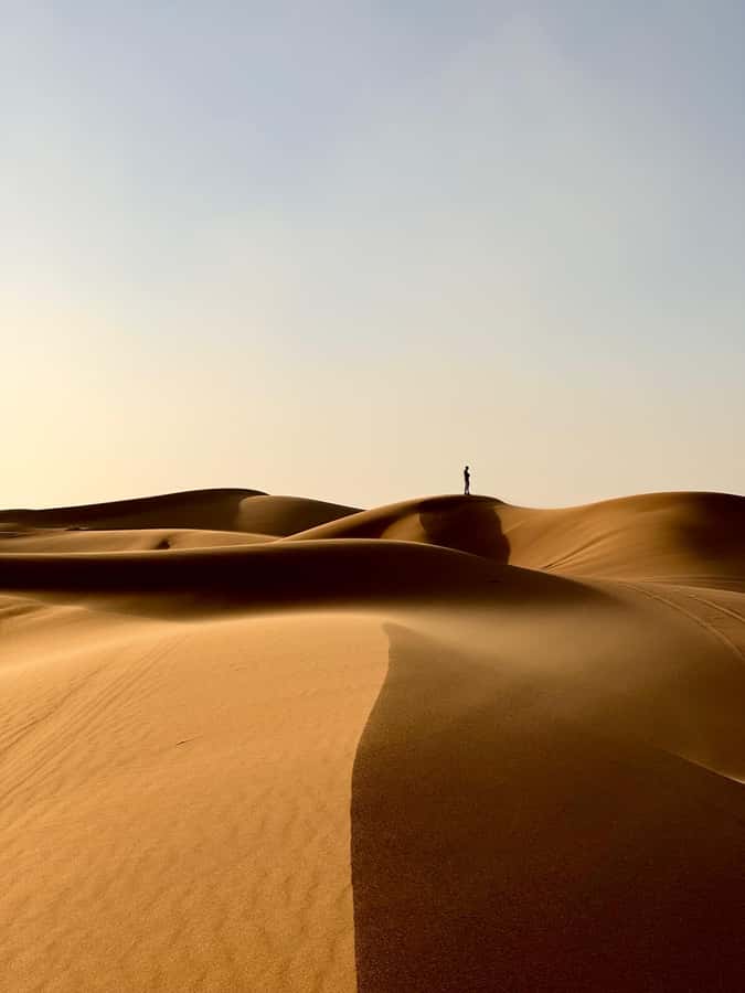 From Marrakech: Merzouga 4 Day Luxury Tour w/ Optional Quad - Day four: the long road back to Marrakech