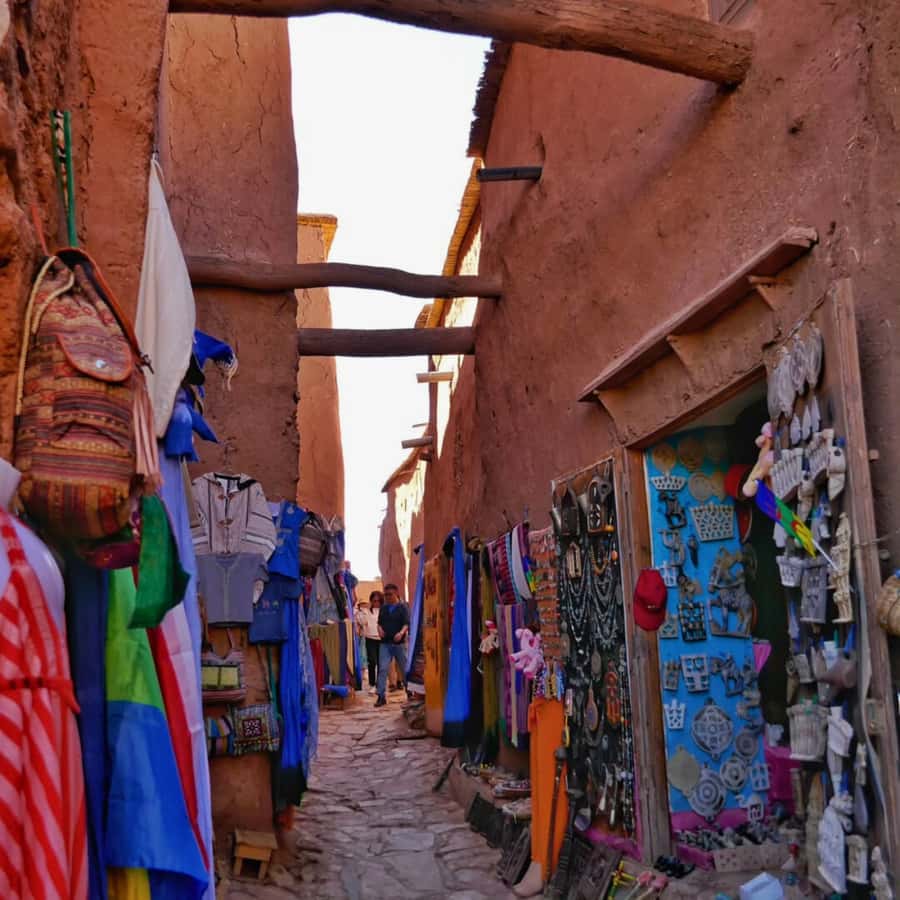 From Marrakech: Ouarzazate, Ait Ben Haddou & Atlas Studios - The long return to Marrakech