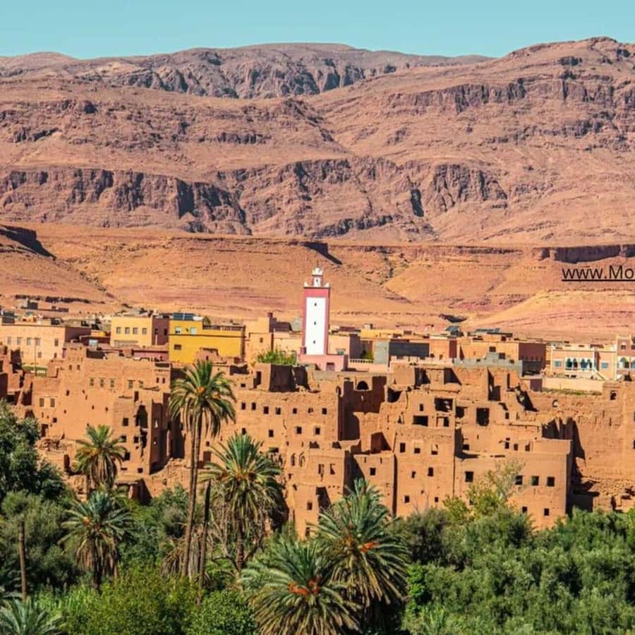 From Marrakech: Ouarzazate & Ait Benhaddou Guided Day Trip - The Marrakech pickup between 7 and 8 a.m.