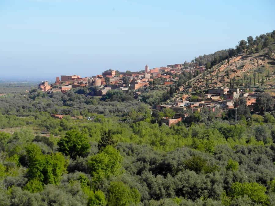 From Marrakech: Ourika Valley & Atlas Mountains Waterfalls - The return to Marrakech