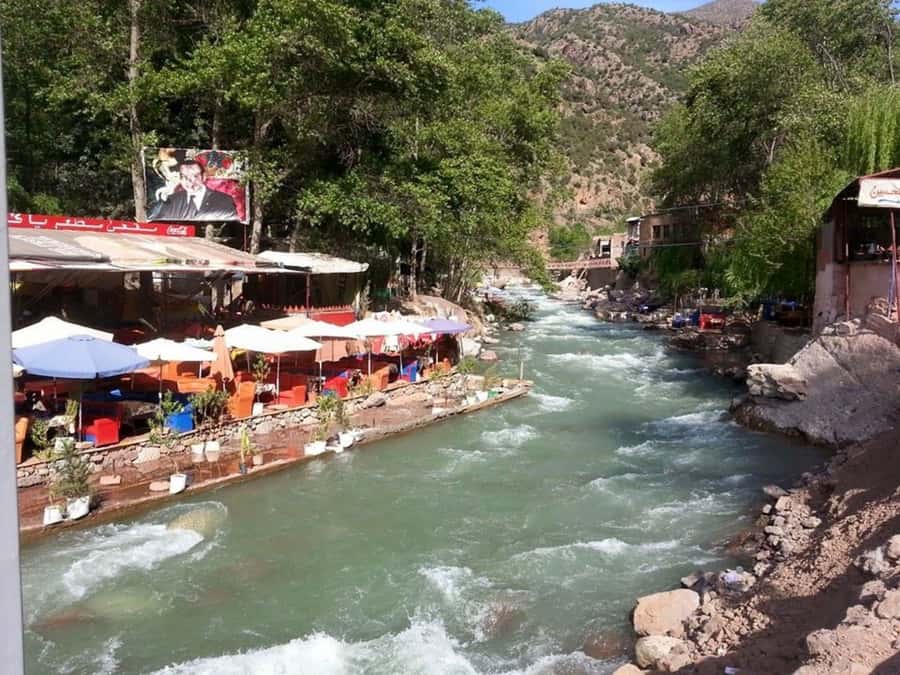 From Marrakech: Ourika Valley & Atlas Mountains Waterfalls - Who will enjoy this day trip?