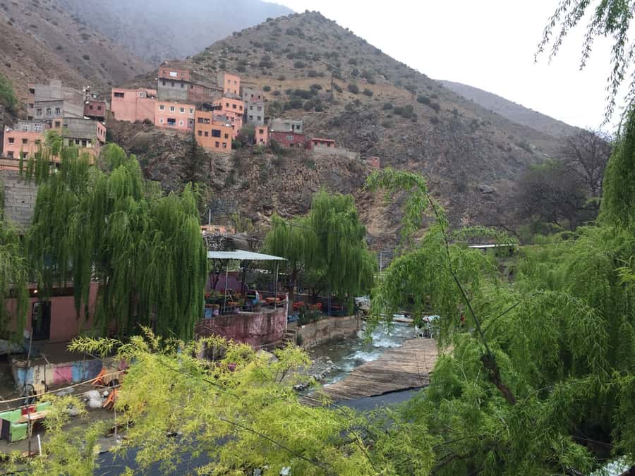 From Marrakech: Ourika Valley Day Trip with Lunch - Drivers and guides can shape the whole day