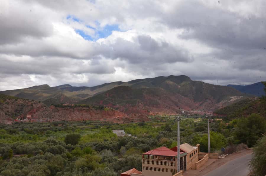 From Marrakech: Ourika Valley Day Trip with Lunch - Who should book this Ourika day trip