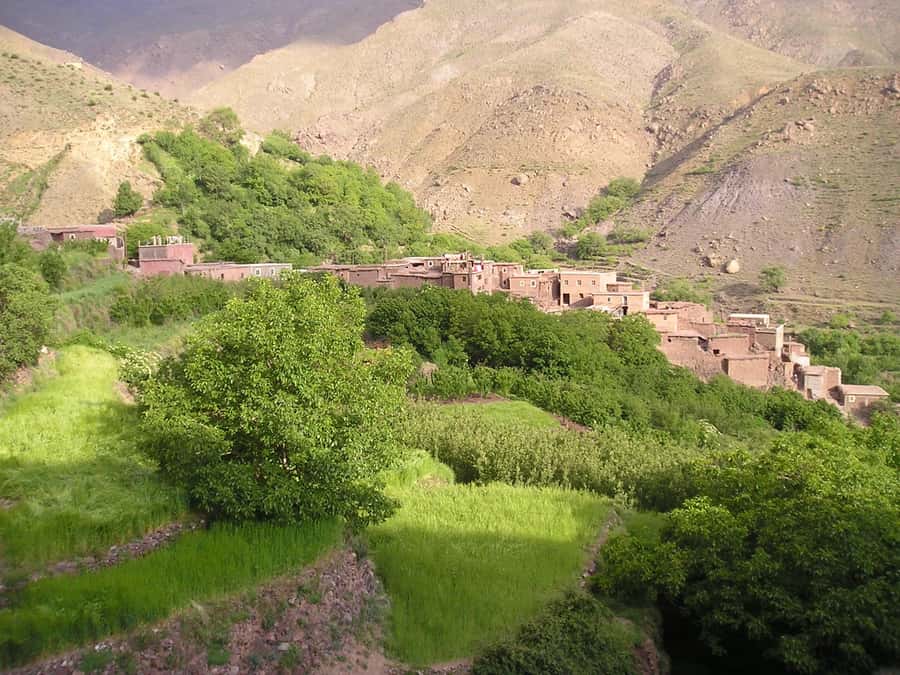From Marrakech: Ourika Valley Trip, Waterfall Hike & Lunch - What to bring and what to expect