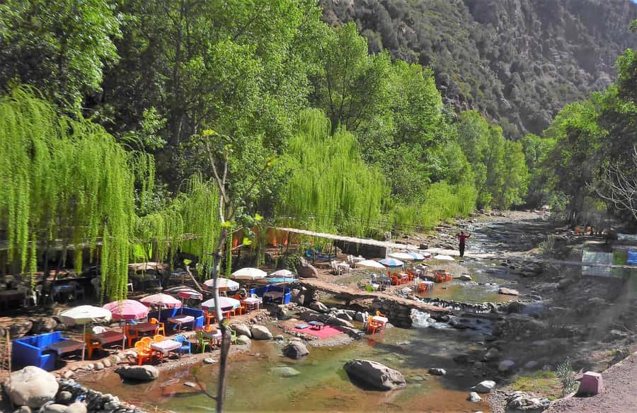 From Marrakech: Ourika Valley Trip, Waterfall Hike & Lunch - Who will enjoy this day trip?