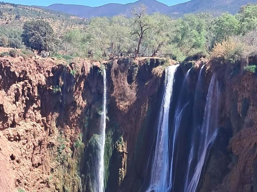 From Marrakech:Ouzoud Waterfalls Day Trip with Boat Tour - Lunch above the waterfall