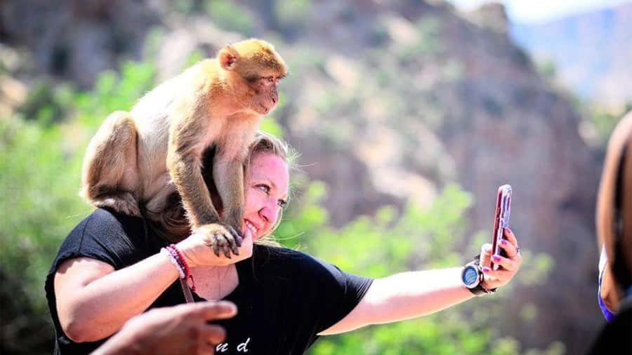 From Marrakech: Ouzoud Waterfalls Guided Hike and Boat Tour - Leaving Marrakech in a 17-seat minibus