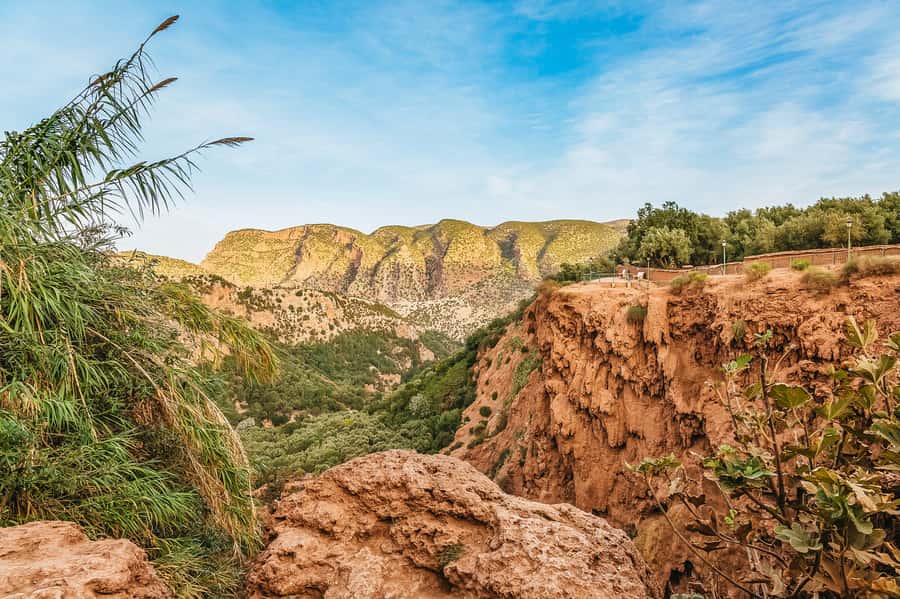 From Marrakech: Ouzoud Waterfalls Guided Hike and Boat Trip - What the $17 price really gives you