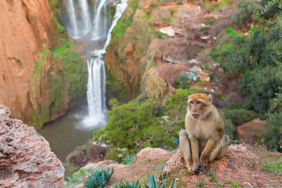 From Marrakech: Ouzoud Waterfalls Guided Tour and Boat Ride - Arriving at Ouzoud and getting your bearings