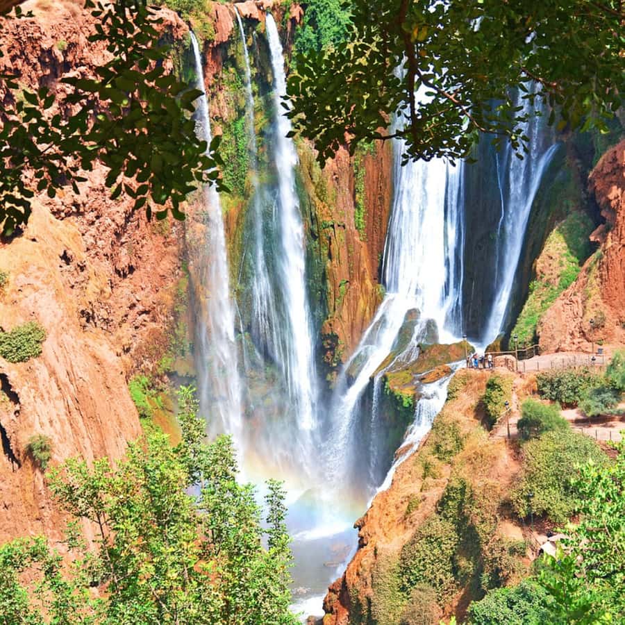 From Marrakech: Ouzoud Waterfalls Guided Tour and Boat Ride - Wildlife, olive trees, and the Grand Atlas setting
