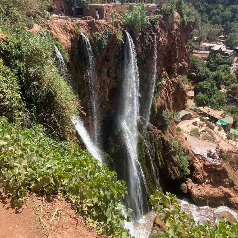 From Marrakech: Ouzoud Waterfalls Guided Tour and Boat Ride - The return to Marrakech
