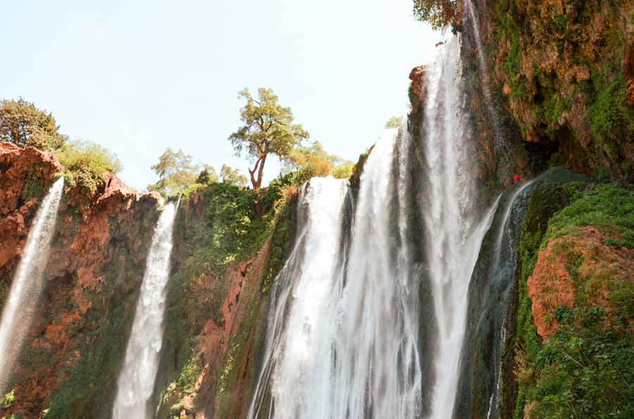 From Marrakech: Ouzoud Waterfalls Guided Tour & Boat Ride - Monkeys, olive trees, and good animal manners