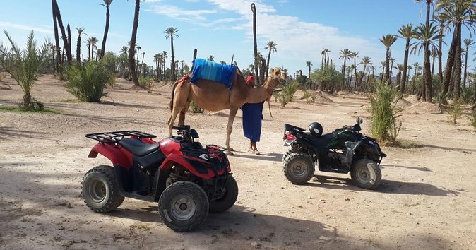 From Marrakech: Palm Grove Quad Bike and Camel Ride Tour - Key points at a glance