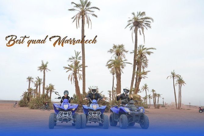 From Marrakech: Palm Grove Quad Bike and Camel Ride Tour - Who will enjoy this outing most?