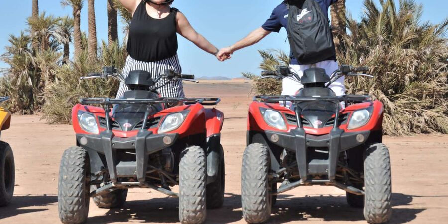 From Marrakech: Palm Grove Quad Bike Tour with Mint Tea - Returning by minivan to your hotel